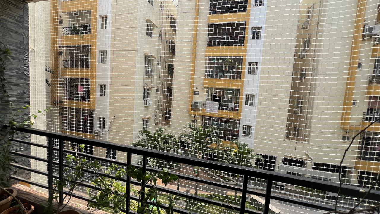 Pigeon Nets in Hyderabad