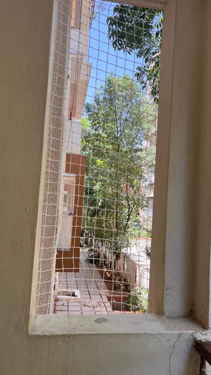 Balcony Bird Nets